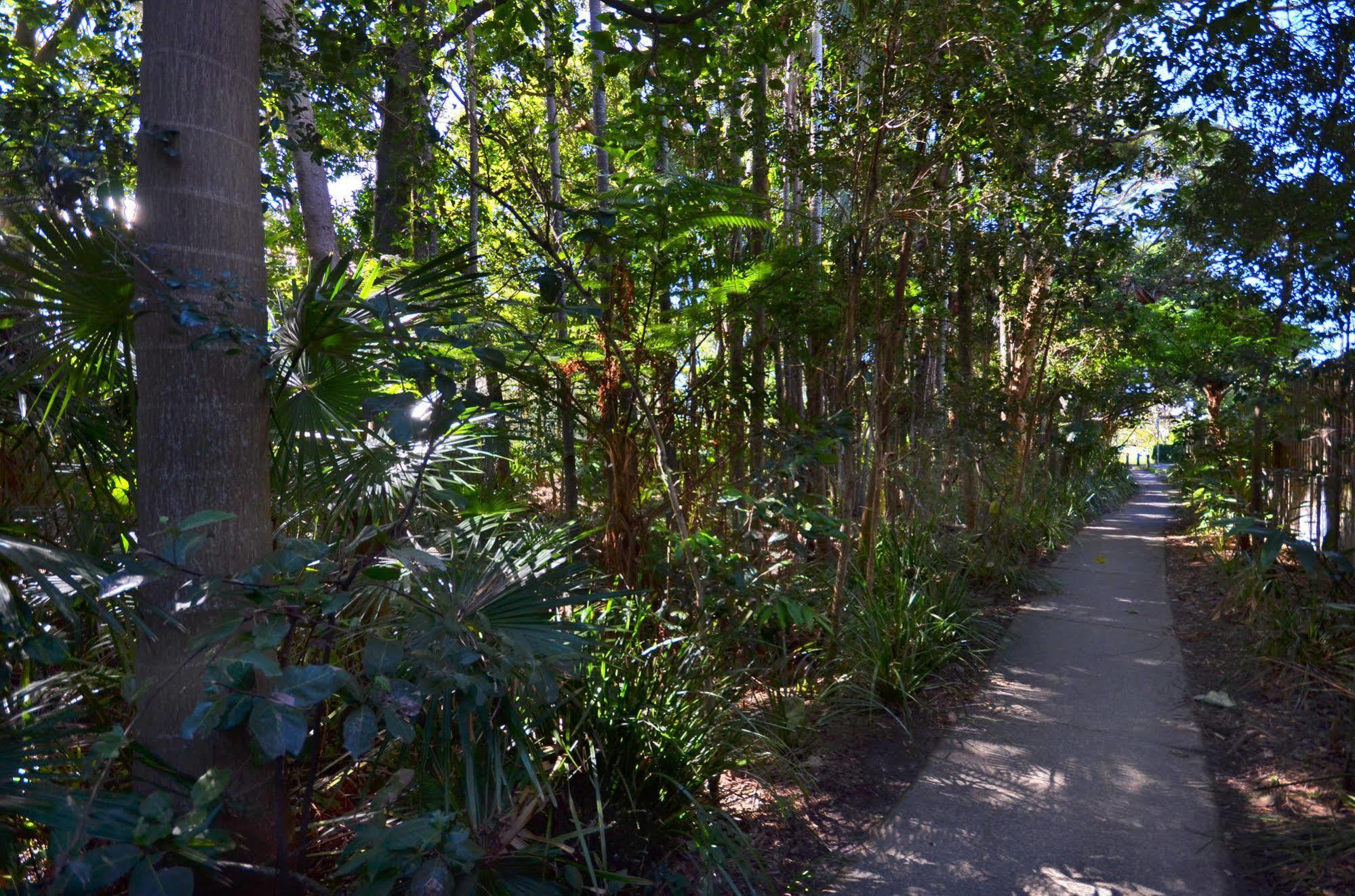 Raintrees Moffat Beach Caloundra Eksteriør bilde